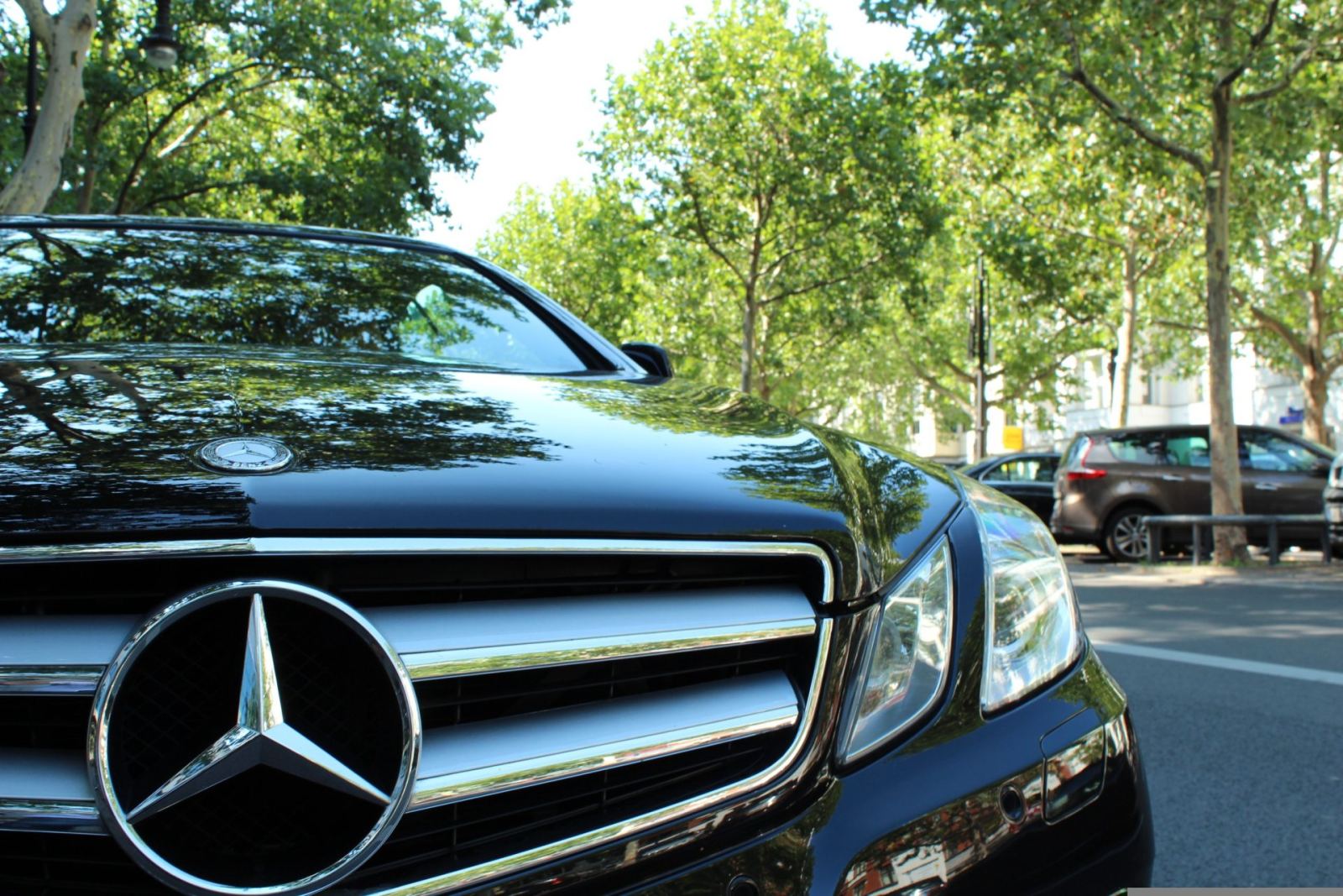 Luxelimo Cheltenham Festival chauffeur service — race day transfers from London