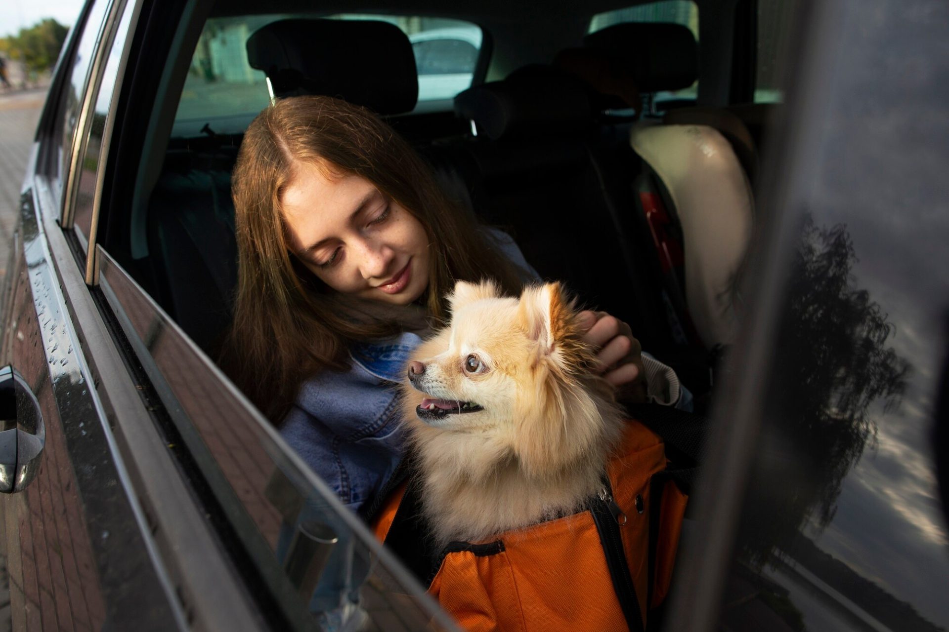 Luxelimo pet-friendly chauffeur service London — PCO-licensed drivers welcoming pets on board