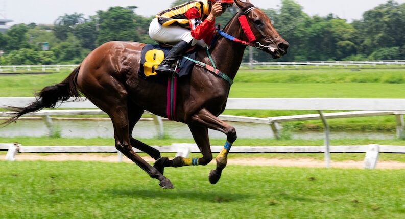 Cheltenham Chauffeur