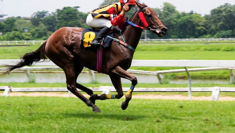 Cheltenham Chauffeur
