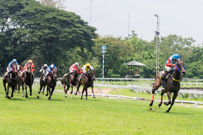 Cheltenham Festival Chauffeur Service