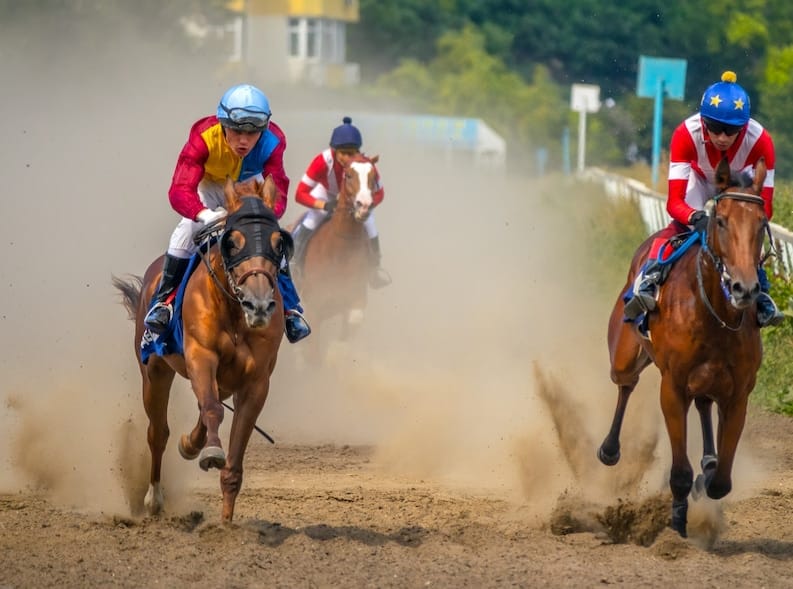 Royal Ascot Chauffeur service