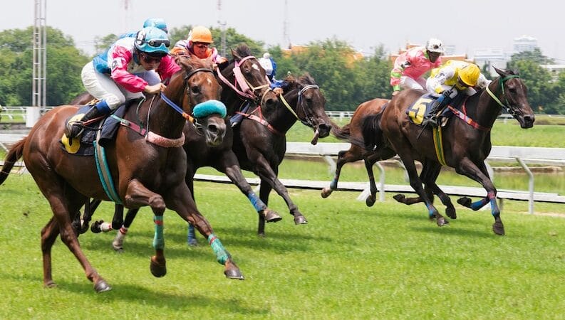 Royal Ascot Chauffeur service