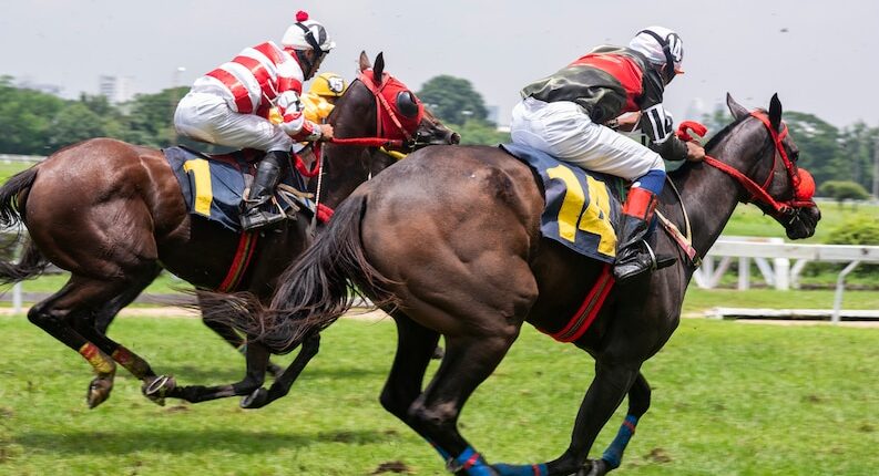 Royal Windsor Horse show London