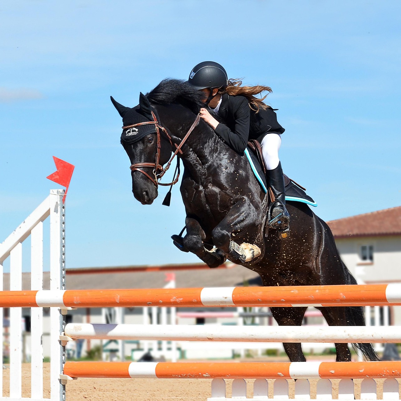 Royal Windsor Horse Show Chauffeur