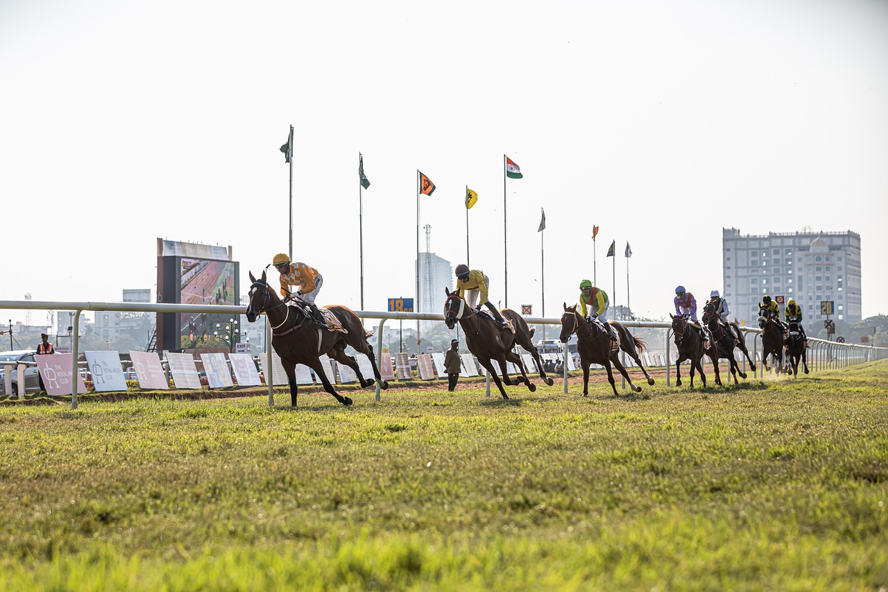 The Grand National, Aintree Chauffeur Service